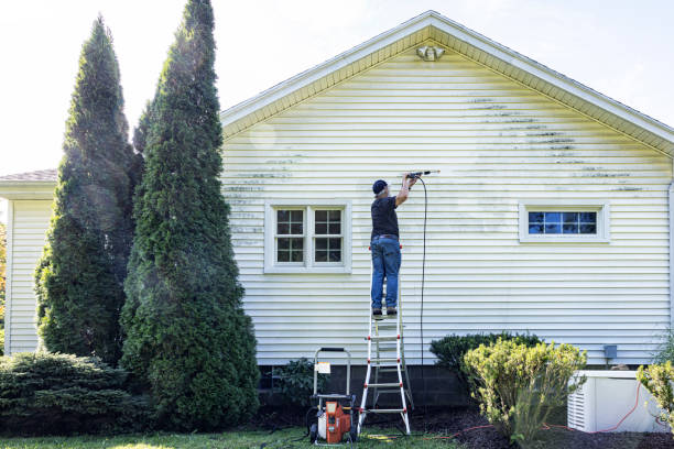 Reliable Louisa, VA Pressure Washing Services Solutions